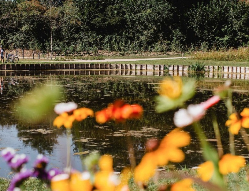 camping-de-kleine-wolf-faciliteit-visvijver-vader-zoon-bloemenweide+2.jpg